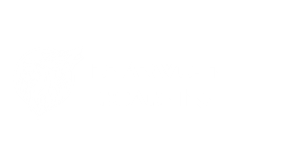 Bearwolf Coaching Logo